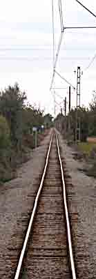    pfiffagraad   durch die Vorgärten von  Palma  ...   