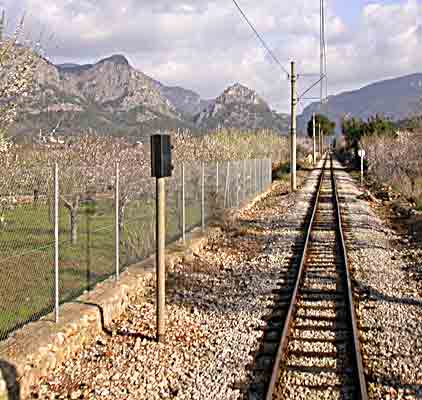    Sicht auf die Serra d'Alfàbia  ...   