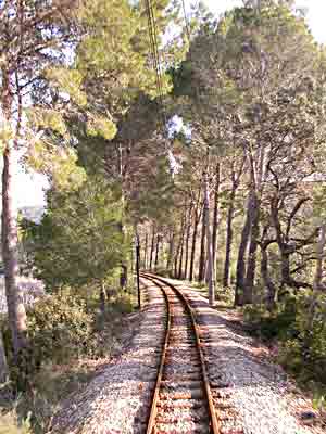     Spazierfahrt durch eine Parklandschaft   ....   