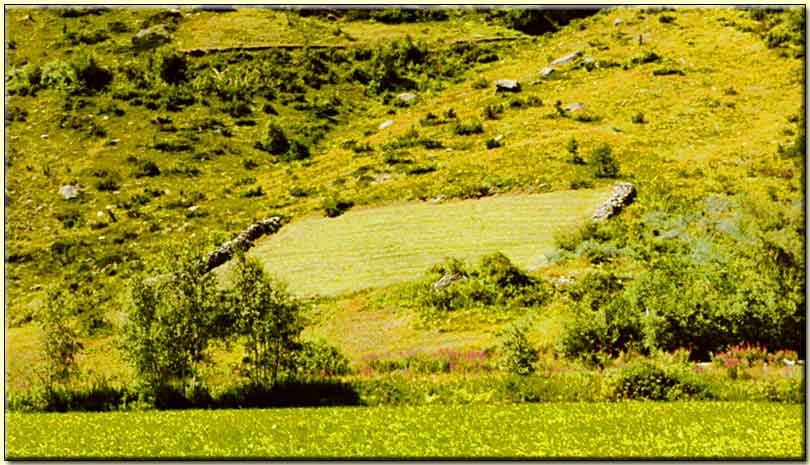    zum nächsten Bild  ....  