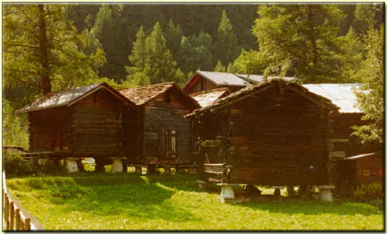    zum nächsten Bild  ....  