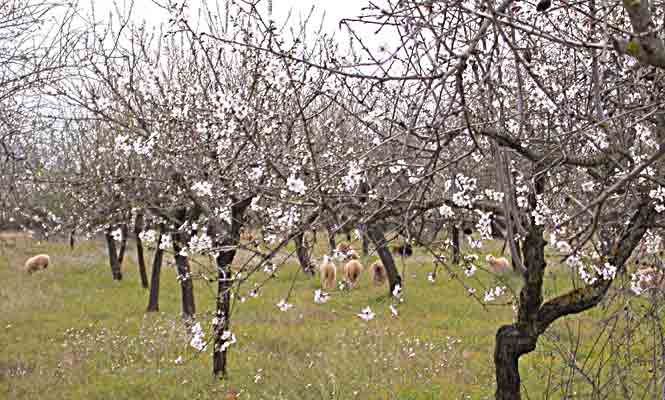     B&auml;&auml;&auml;&auml;hh   ...