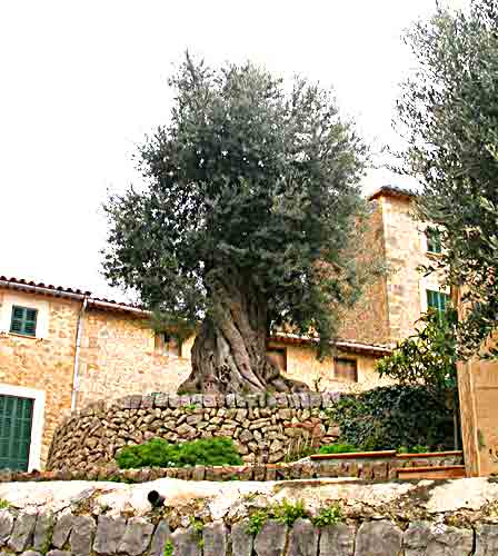    würdevoll 'ausgestellt'  .... 