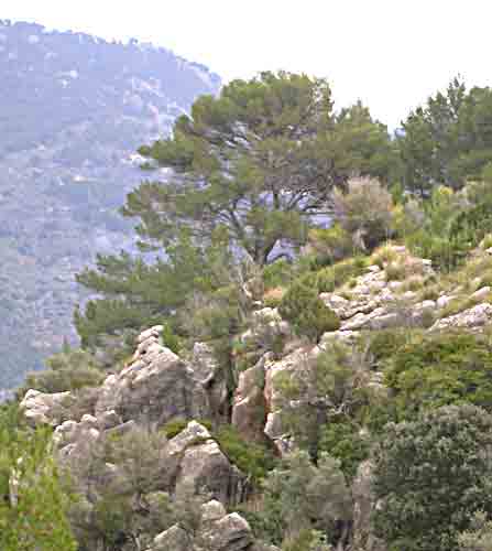    zerklüftet und wasserduchlässig   .... 