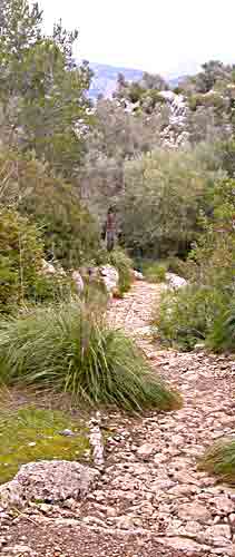    über Stock & Stein   ....   