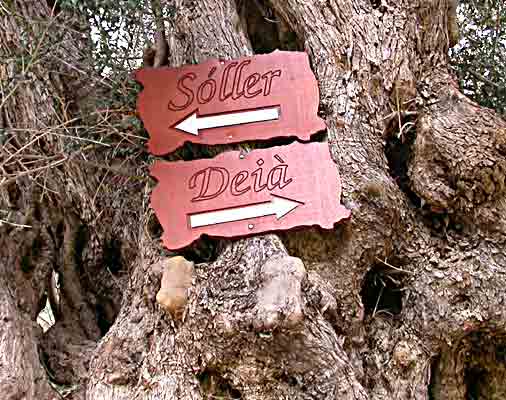    bescheidener Anfang    ....   