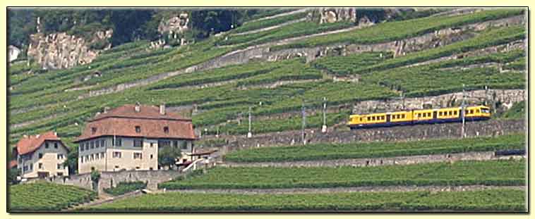     zum n&auml;chsten Bild   ....   