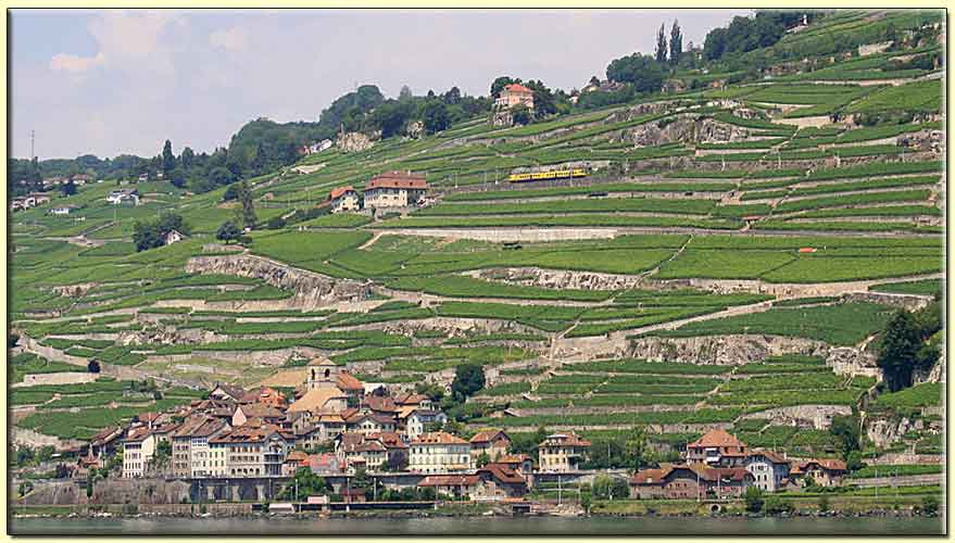     zum n&auml;chsten Bild   ....   