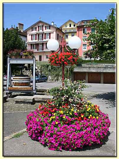     zum nächsten Bild   ....   