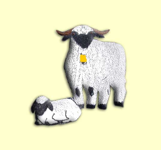     sich eine kleine Bildreihe ansehen?   ...   